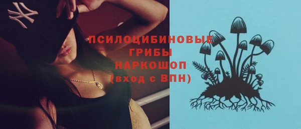 мдпв Приозерск